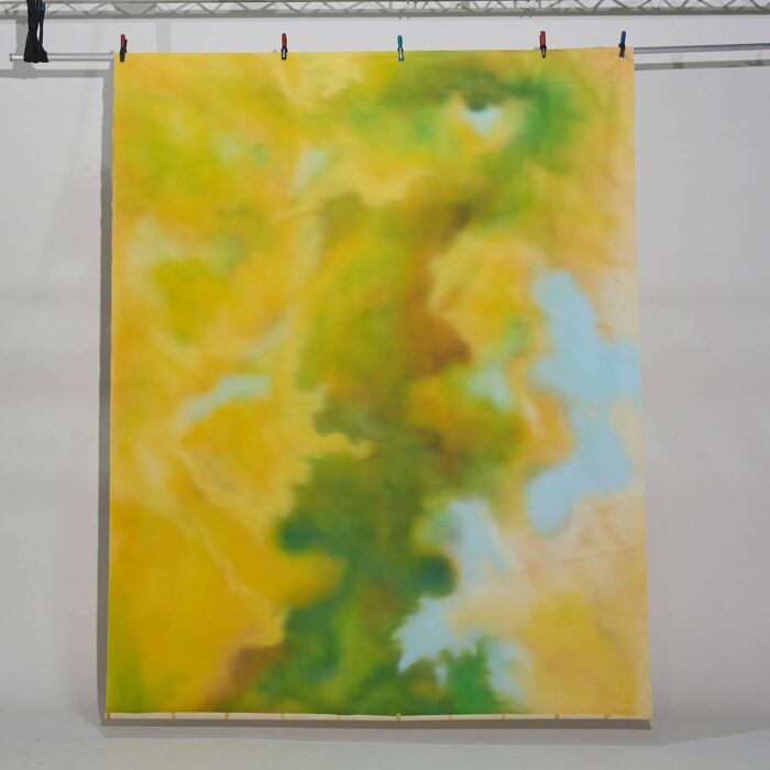 #3231 Yellow green splashed handpainted